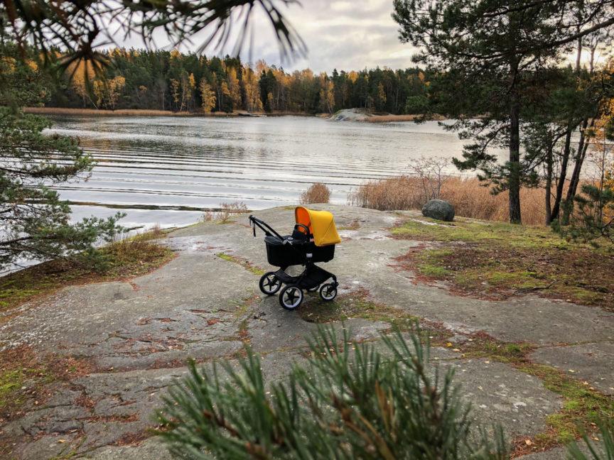 Valeäiti bugaboo fox